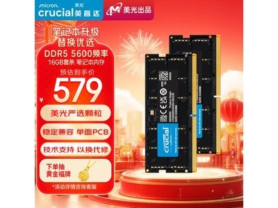 ʱCrucial Ӣ DDR5 5600MHz ʼǱڴ399