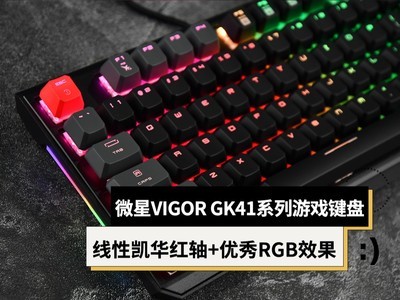΢VIGOR GK41&GK41 DUSKϷ⣺Կָ RGBЧ