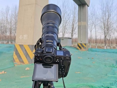 尼康Z 9旗舰相机+Z 800mm f/6.3镜头挑战生态摄影