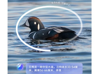 搭载OriginOS 5的vivo S20：AI加持，流畅好用