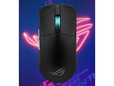 ҹROGACE꾩Żݼ362Ԫ