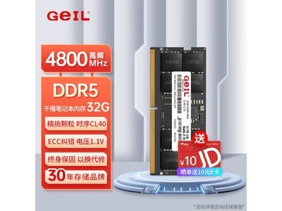 ͻƿGEIL32GB DDR5-4800ʼǱڴԼ۱ȵļٶѡ