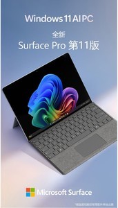 ΢Surface Pro11ȫXʼǱ11399