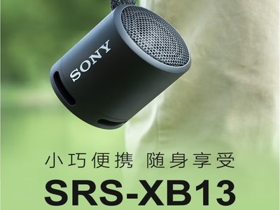 sony srsxb13图片