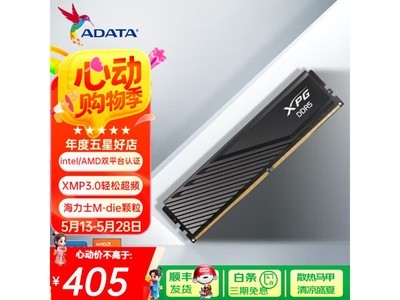 XPGD300 DDR5ڴ399Ԫֵ