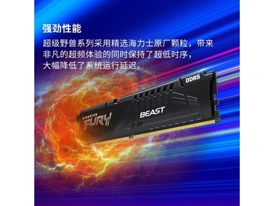 ʿFURY Beast DDR5 6000MHzڴ ɫ32GB