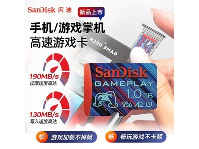 SanDisk 1TB TFU3 V30ϷŻ