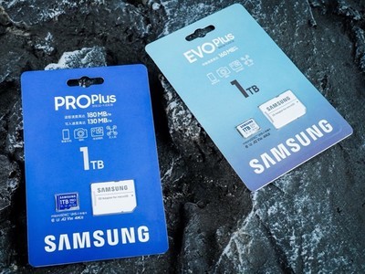 ˫ʮһ˹1TBPRO Plus+EVO Plus