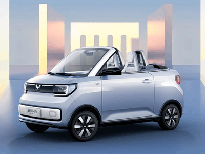 9.99ԪMINI EVʽ