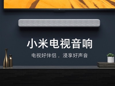 ޡӾ С׵ʱɱ304Ԫ