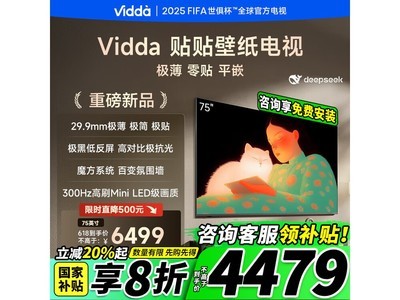Viddaֽ75Ӣʱػ4289Ԫ