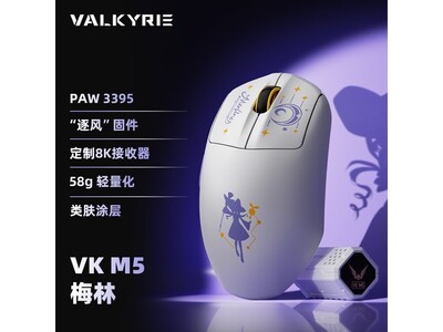 VALKYRIE VK M5�羺�����ʱ�ػ�