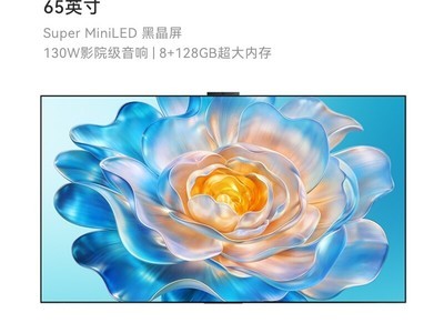 ��ΪVision�ǻ���6 Pro 65Ӣ��ֱ��1850Ԫ