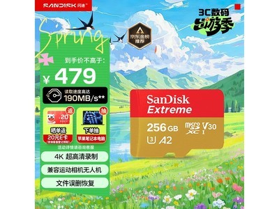 ����Extreme 256GB��ɱ469