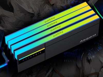 ����������ĸ��ڴ� �������֪����