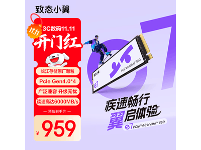 ��̬2TB SSDֱ��20Ԫ