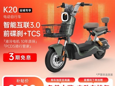 ��ԴK20���ܳ������綯���г�