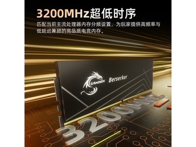 SAMNIX����սʿDDR4�ڴ���
