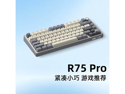 ROYAL KLUDGE RK R75Pro̵169Ԫ