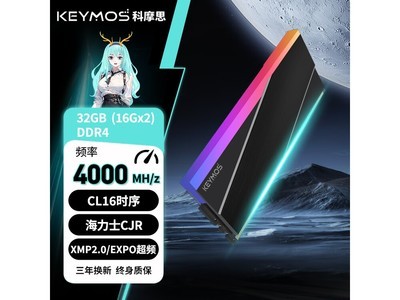 Ħ˼׵DDR4 32GBڴ