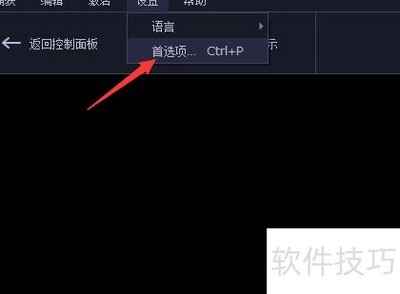 Capture Pro 11����OpenGLָ��
