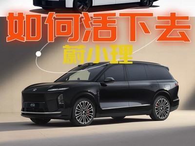 势头更猛，决战智能化，蔚小理2026如何活下去