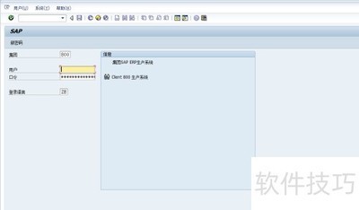 SAP�޸Ĳ���Ӧ��ָ��