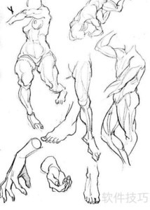 速写自学入门指南