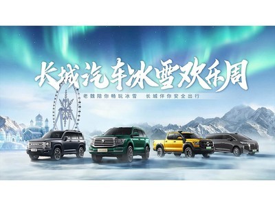 ����������ѩ������