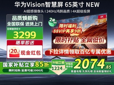 ΪVisionǻ65ӢNEWϮ