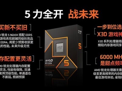 ���Լ۱�װ����ѡ ����5 9600X+��ͨ��DDR5����RX 9060XT����