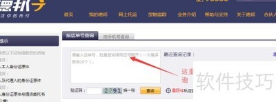 �°�����������ѯ����