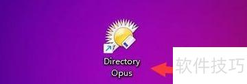 Directory Opus�������ɶ���