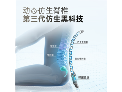 Ergonor Pofit 2����ѧ�ε���2611Ԫ����