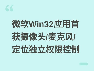 ΢��Win32Ӧ���׻�����ͷ/��˷�/��λ����Ȩ�޿���