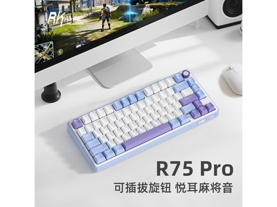 ROYAL KLUDGE R75ʱػ