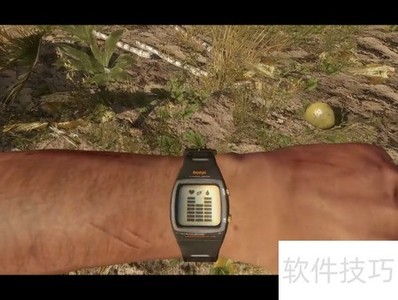 荒岛椰子饮用指南