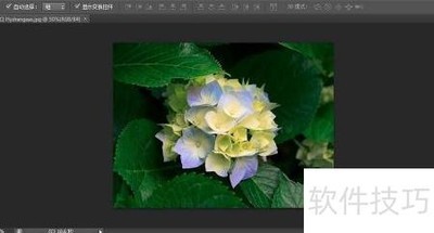 PS曝光度学习入门