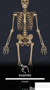 �ڴ�����ģ�Ͳٿ�ָ��