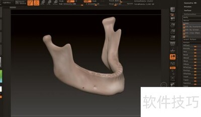 ZBrush人体骨骼建模技巧