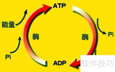 �������ATPѧϰҪ��