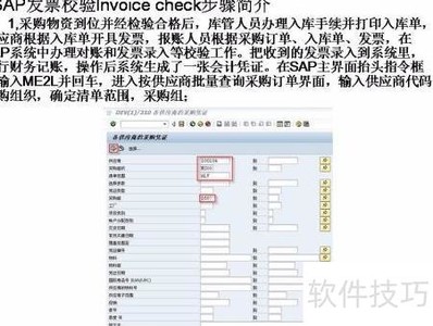 SAP��ƱУ�鲽����