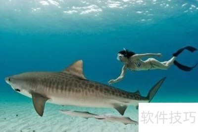 5Сʱ���㱣�ʻ�����
