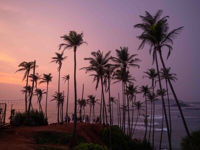 富士 GFX100RF 斯里兰卡行摄实录