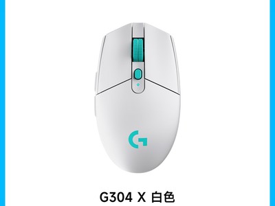 �޼�G304�����������100