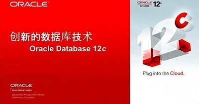 Oracle 11G/12CҵݿԪػ