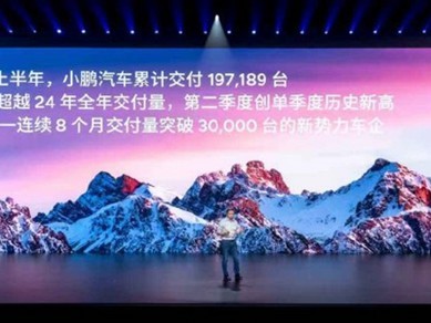 Сϰ꽻2024ȫ꣬217%