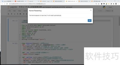PyTorch�ں˱����������