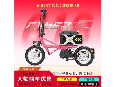 ����CYBER - GT���з۴��ݵ綯��ֱ��500