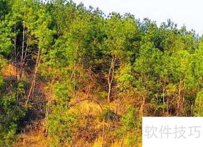 ����ɽ�ֲ����¹�